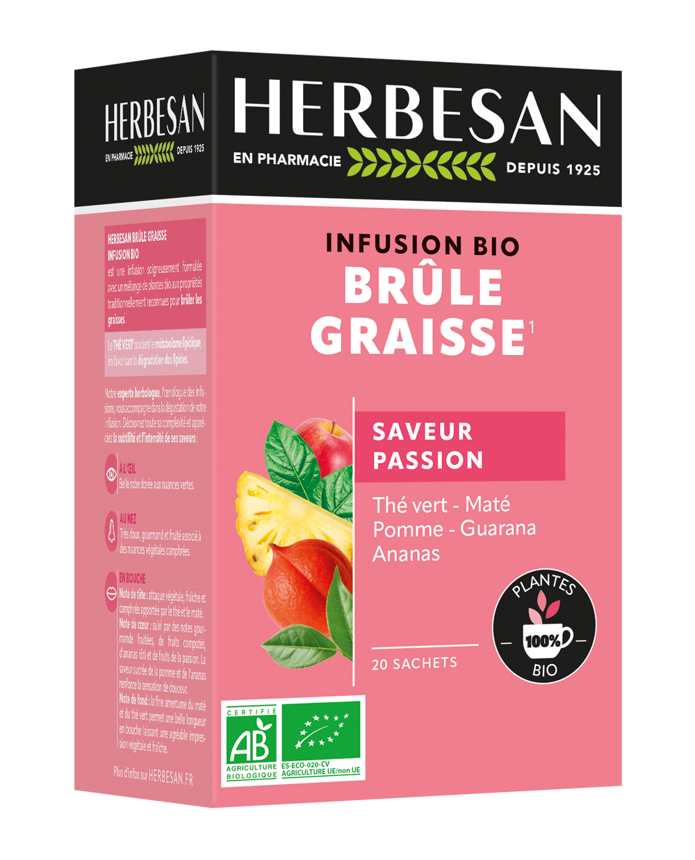 INFUSION BRÛLE GRAISSE BIO