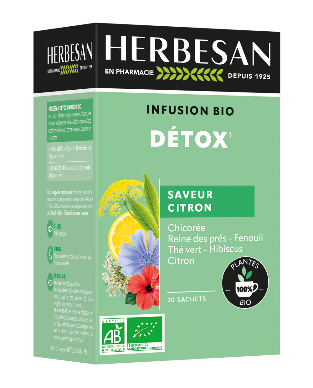 INFUSION DÉTOX BIO