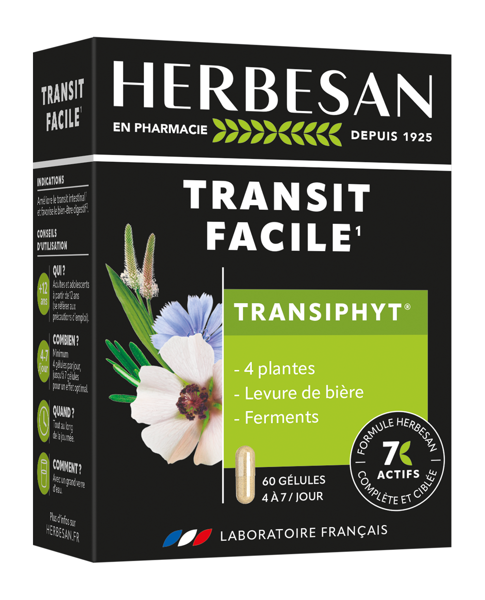 TRANSIPHYT®